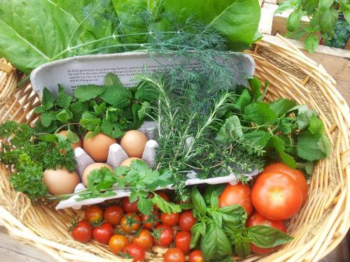 Az étkezés is lehet - 7 tipp a környezetbarát étkezéshez – környezetbarát.